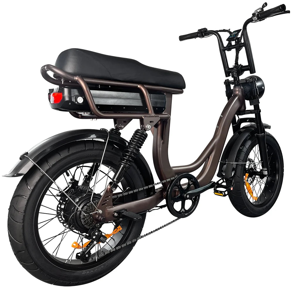 fatbikes