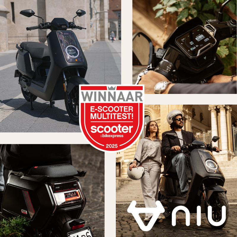 NIU NQIX 150 WIT